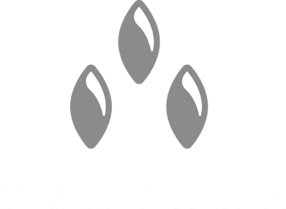 Tuatara Games logo